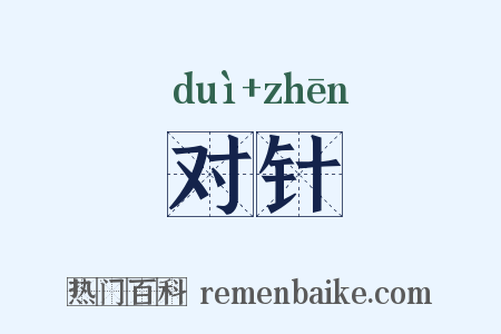 对针是什么意思的图片